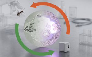 Robot Karıncalar: Plansız Ama Kusursuz Çalışan Yeni Nesil Kolektif Zekâ